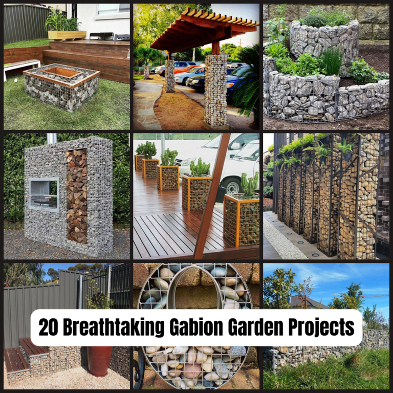 20 Breathtaking Gabion Garden Projects