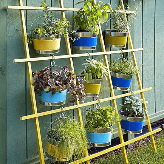 Hanging Paint-Can Herb Garden