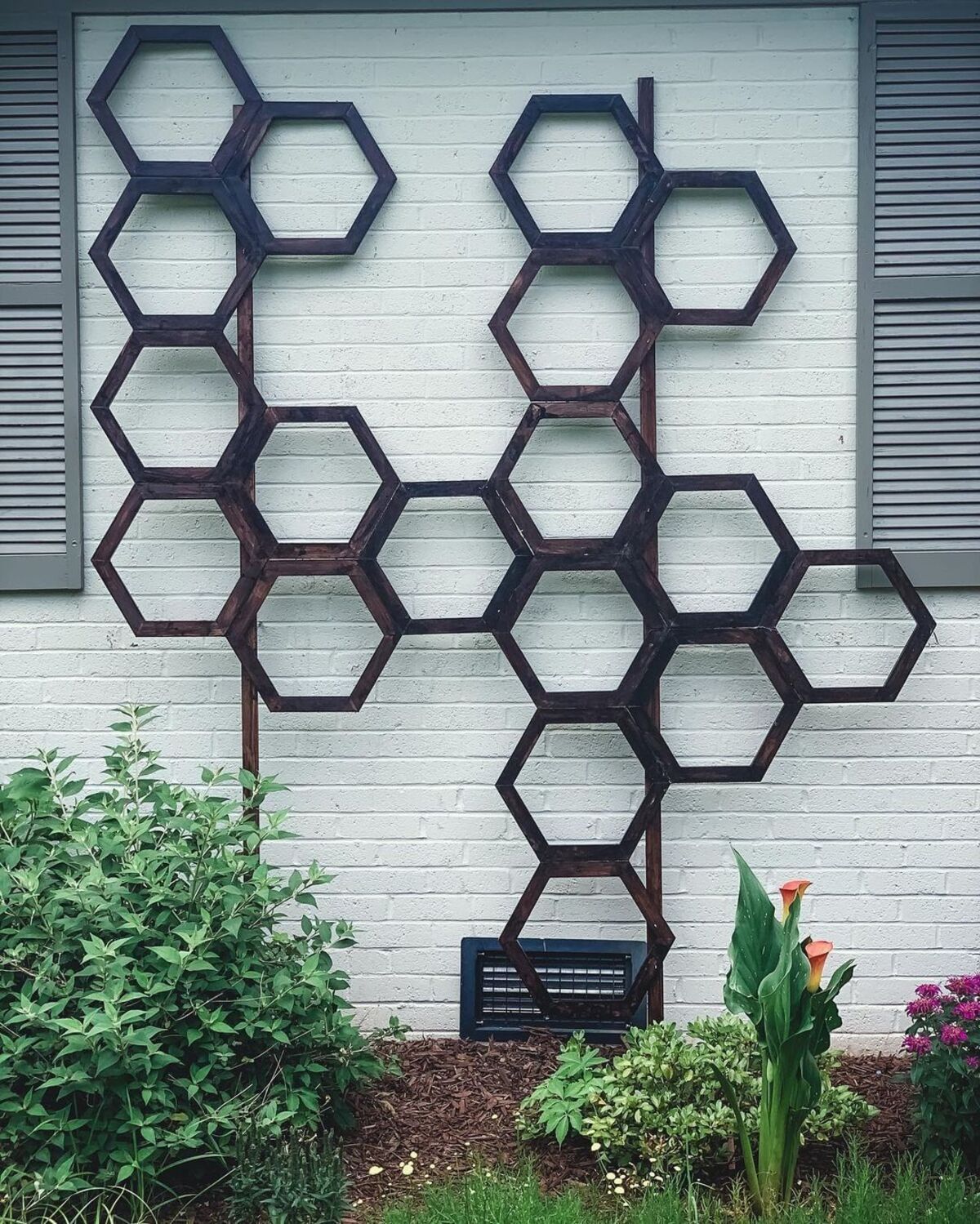 Honeycomb Trellis