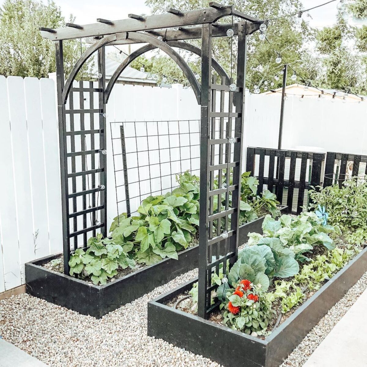 Raised Garden Beds With An Arch Made From Wood