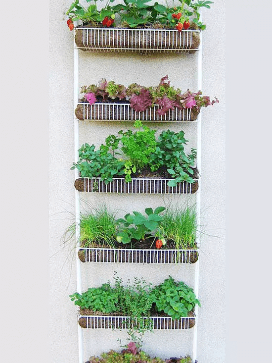 Upcycled Metal Ammunition-Box Herb Garden