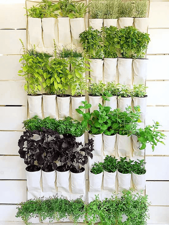 Wall-Mounted Pipe-and-Metal Hanging Planters