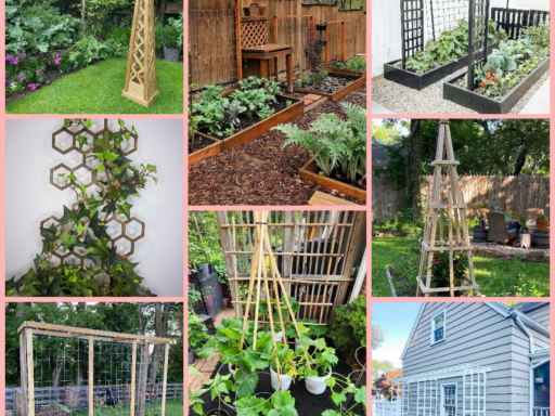 20 DIY Trellis Ideas to Beautify Your Garden