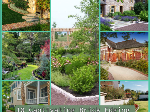 10 Captivating Brick Edging Ideas to Transform Your Garden